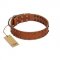 "Star Light" Stylish FDT Artisan Tan Leather English Bull Terrier Collar with Silver-Like Studs