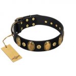 "Venerable Pawty" FDT Artisan Black Leather English Bull Terrier Collar with Old Bronze-like Ovals and Studs