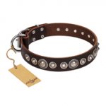 "Step and Sparkle" FDT Artisan Glamorous Studded Brown Leather English Bull Terrier Collar