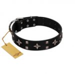 "Snappy Dresser" FDT Artisan Black Leather English Bull Terrier Collar Adorned with Stars and Tiny Squares