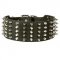 Extra Wide Spiked and Studded Leather Bull Terrier Collar