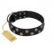 "Egyptian Style" Handcrafted FDT Artisan Black Leather English Bull Terrier Collar with Medallions
