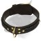 Braided Design Leather Bull Terrier Collar