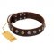 "Gape Buster" FDT Artisan Brown Leather English Bull Terrier Collar with One Row of Studs