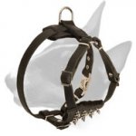 Bull Terrier Solid Spiked Chest Leather Dog Harness for Puppies
