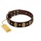"Natural Grace" FDT Artisan Handmade Decorated Brown Leather English Bull Terrier Collar