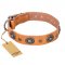 "Twinkle Twinkle" FDT Artisan Incredible Studded Tan Leather English Bull Terrier Collar