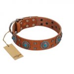 "Blue Sands" FDT Artisan Tan Leather English Bull Terrier Collar with Silver-like Studs and Round Conchos with Stones