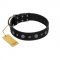 "Mr. Elegance" Designer FDT Artisan Black Leather English Bull Terrier Collar with Silver-Like Studs