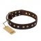 "Bronze Sheen" FDT Artisan Leather English Bull Terrier Collar with Brass-Plated Studs