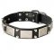 Stylish and Functional Leather Bull Terrier Collar with Metal Decoration