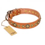 "Feast of Luxury" FDT Artisan Tan Leather English Bull Terrier Collar with Old Bronze Look Circles