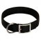 All Weather Classic Nylon Bull Terrier Collar