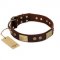 "Shining Armour" FDT Artisan Brown Leather English Bull Terrier Collar with Decorations