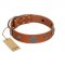 "Foxy Nature" FDT Artisan Tan Leather English Bull Terrier Collar with Chrome Plated Brooches