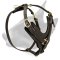 Exclusive Padded Designer Leather Bull Terrier Harness