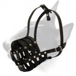 Perfect Ventilation Leather Bull Terrier Muzzle for Training