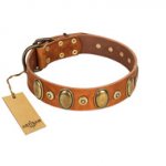 "Crystal Sand" FDT Artisan Tan Leather English Bull Terrier Collar with Vintage Looking Oval and Round Studs
