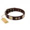 "Sense of Freedom" FDT Artisan Brown Leather English Bull Terrier Collar with Old Bronze-Plated Studs and Plates