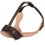 Anti-Barking Nappa Padded Leather Bull Terrier Muzzle