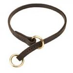 Leather Bull Terrier Choke Collar for Effective Training