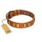 "Olive Slice" FDT Artisan Tan Leather English Bull Terrier Collar with Engraved and Smooth Plates