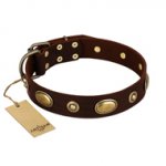 "Hebe's Jewel" FDT Artisan Brown Genuine Leather English Bull Terrier Collar