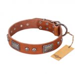 "Sparkling Skull" FDT Artisan Tan Leather English Bull Terrier Collar with Old Silver Look Plates and Skulls