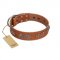 "Brave Spirit" Handmade FDT Artisan Designer Tan Leather English Bull Terrier Collar with Shields