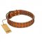 "Terra-cotta" FDT Artisan Tan Leather English Bull Terrier Collar with Two Rows of Studs