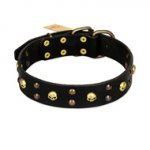 FDT Artisan 'Heavy Metal' Leather English Bull Terrier Collar with Skulls and Studs 1 1/2 inch (40 mm)