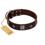 "Cold Star" Designer FDT Artisan Brown Leather English Bull Terrier Collar with Silver-Like Adornments