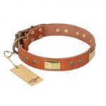 "Enchanting Spectacle" FDT Artisan Tan Leather English Bull Terrier Collar with Old Bronze Look Plates and Round Studs