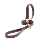 Brown Waterproof English Bull Terrier Leash Made of Biothane
