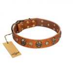 "Call of Feat" FDT Artisan Tan Leather English Bull Terrier Collar with Old Bronze-like Studs and Oval Brooches