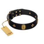 "Star Powder" FDT Artisan Black Leather English Bull Terrier Collar with Ovals and Stars - 1 1/2 inch Wide