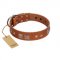 "Egyptian Gifts" Handmade FDT Artisan Tan Leather English Bull Terrier Collar with Chrome-plated Pyramids