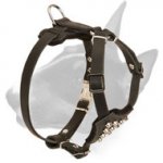 Bull Terrier Durable Leather Dog Harness with Stylish Studs for Puppies
