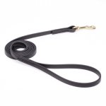 Black Biothane English Bull Terrier Leash for Walking, Tracking