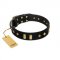 "De Luxe" FDT Artisan Black Leather English Bull Terrier Collar with Old Bronze-like Plates and Studs