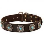 Wide Leather Bull Terrier Collar with Blue Decorative Stones