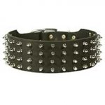 Leather Bull Terrier Collar with 4 Rows of Spikes