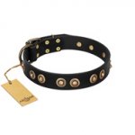 "Golden Artifact" FDT Artisan Black Leather English Bull Terrier Collar with Old-bronze Covered Medallions