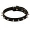 Classy Spiked Leather Bull Terrier Collar for Daily Walking