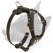 Bull Terrier Durable Leather Dog Harness with Stylish Studs for Puppies