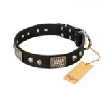 "Pirates Gold" FDT Artisan Black Leather English Bull Terrier Collar with Old Silver Look Plates and Skulls