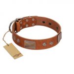 "Great Obelisk" Handcrafted FDT Artisan Tan Leather English Bull Terrier Collar with Large Plates and Pyramids