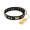 "Pirates Gold" FDT Artisan Black Leather English Bull Terrier Collar with Old Silver Look Plates and Skulls