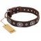 "Extra Pizzazz" FDT Artisan Adorned Brown Leather English Bull Terrier Collar