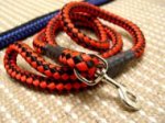 Nylon Dog Lead for Bull Terrier -4/5" on 5 foot - NYLON LEASH